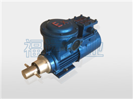 WXF微型齿轮泵-微型齿轮泵-WXF小流量齿轮泵